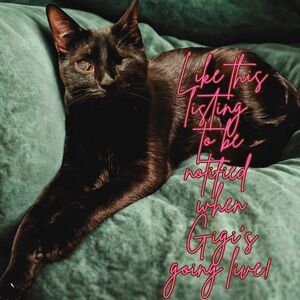 LIKE THIS LISTING TO BE NOTIFIED OF UPCOMING SHOWS. Jack insists! 😽🐾🐾💕